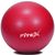 Мяч гимнастический Fitex MD1225-55 55 см красный