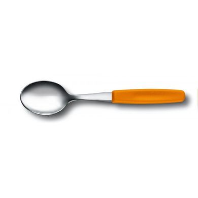 Чайна ложка Victorinox SwissClassic Tea Spoon 5.1576.L9