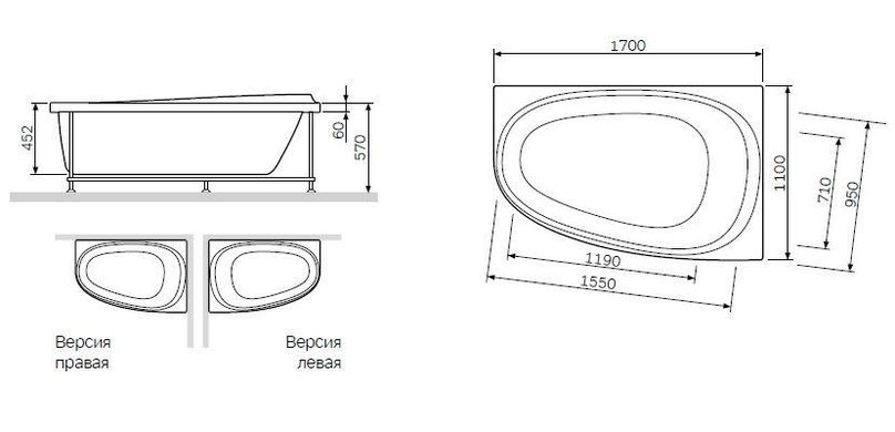 Каркас для ванни AM.PM Like 170x110 см лівий (W80A-170L110W-R)